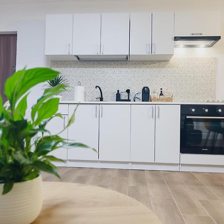 Subcetate Apartamento Sighişoara Exterior foto